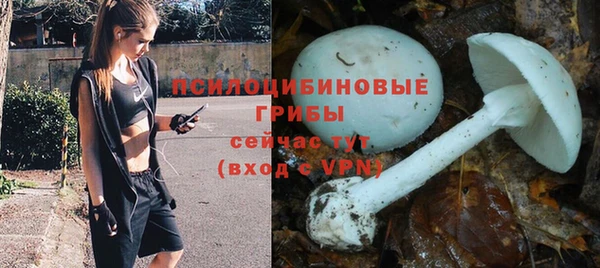 бошки Белокуриха