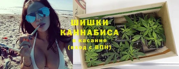 шишки Краснослободск