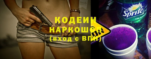 шишки Краснослободск
